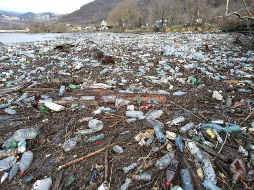 Peste 8 tone de deșeuri, dintre care 5,4 tone de plastic, adunate din Dunăre într-o săptămână