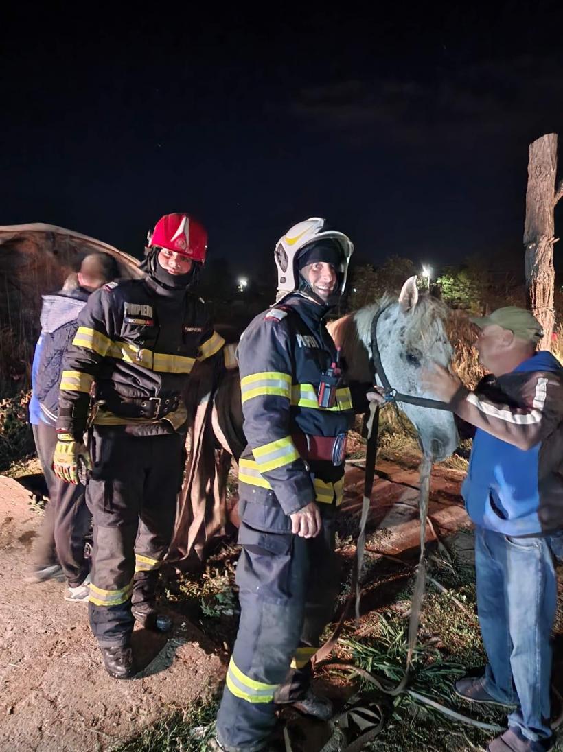 Salvare spectaculoasă. Un cal a fost scos dintr-un beci de aproximativ 3 m adâncime 18800712