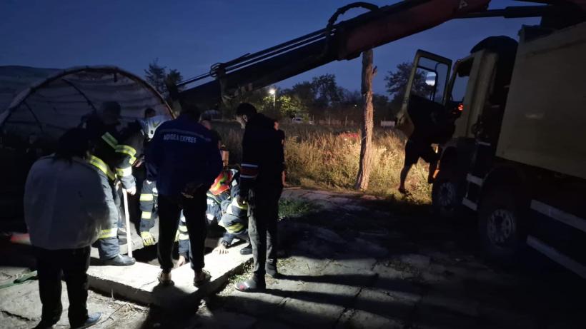 Salvare spectaculoasă. Un cal a fost scos dintr-un beci de aproximativ 3 m adâncime 18800713