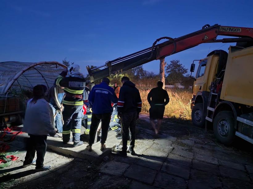 Salvare spectaculoasă. Un cal a fost scos dintr-un beci de aproximativ 3 m adâncime 18800714