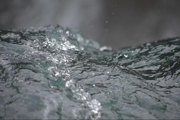 Ce putem învăța de la albine despre viitorul planetei:  multi-premiatul documentar Honeyland va fi proiectat la București,  în cadrul One Minute Older 18801151