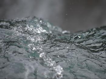 Ce putem învăța de la albine despre viitorul planetei: multi-premiatul documentar Honeyland va fi proiectat la București, în cadrul One Minute Older 18801289