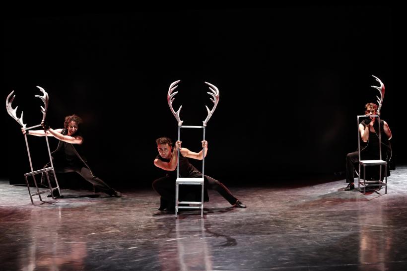 Teatrul Național din Timișoara aduce spectacolul aproape de cei de departe 18801556