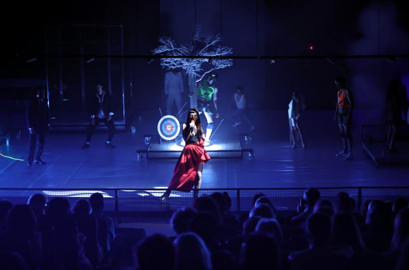 Teatrul Național din Timișoara aduce spectacolul aproape de cei de departe 18801557