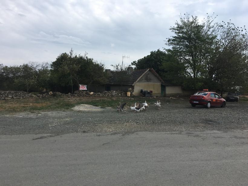 Vadu, punguța cu metale rare a României îngropată în nisip și boemie 18801897