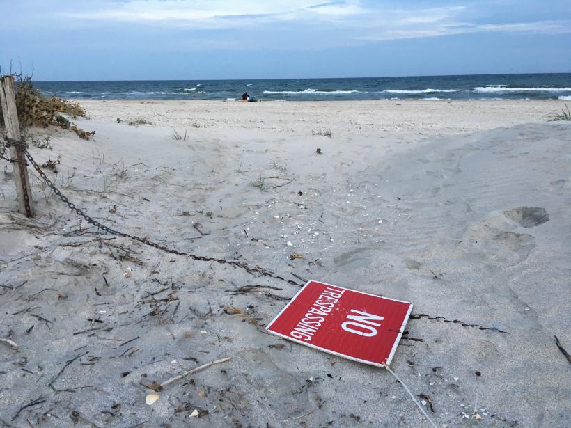 Vadu, punguța cu metale rare a României îngropată în nisip și boemie 18801900