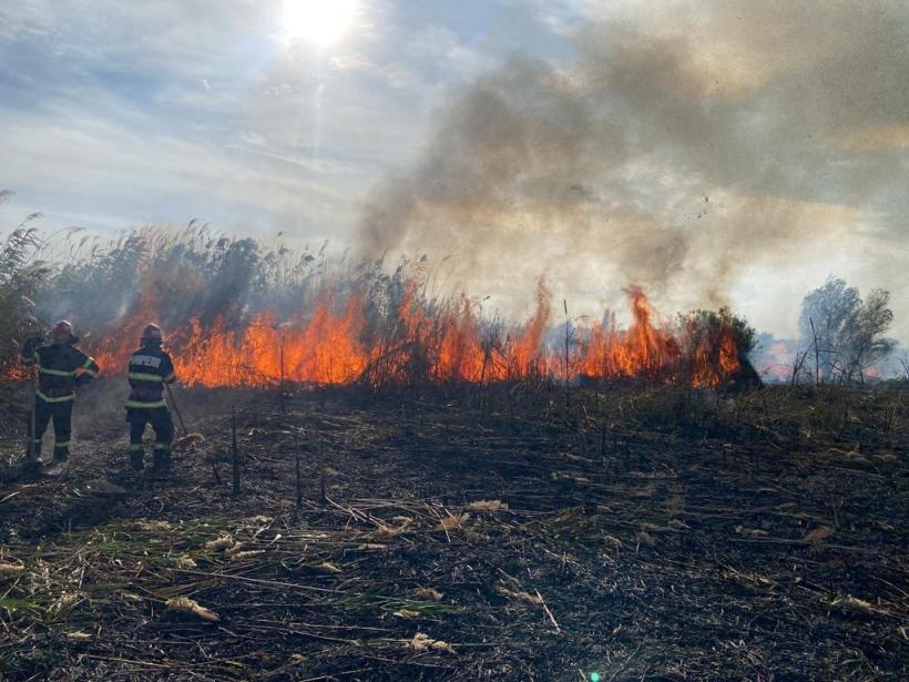 Incendiu de stuf şi vegetaţie uscată în zona localității Jurilovca. Intervenția pompierilor este una dificilă din cauza zonei greu accesibile
