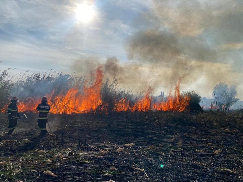 Incendiu de stuf şi vegetaţie uscată în zona localității Jurilovca. Intervenția pompierilor este una dificilă din cauza zonei greu accesibile 18803235