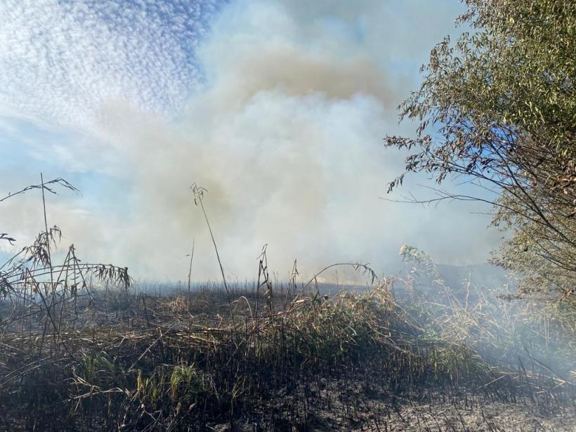Incendiu de stuf şi vegetaţie uscată în zona localității Jurilovca. Intervenția pompierilor este una dificilă din cauza zonei greu accesibile 18803237