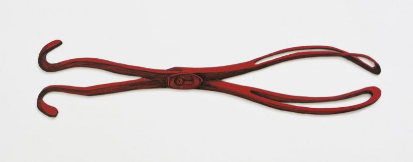 Shaving the Caterpillar. O incursiune senzuală în imaginarul nebuniei 18803523