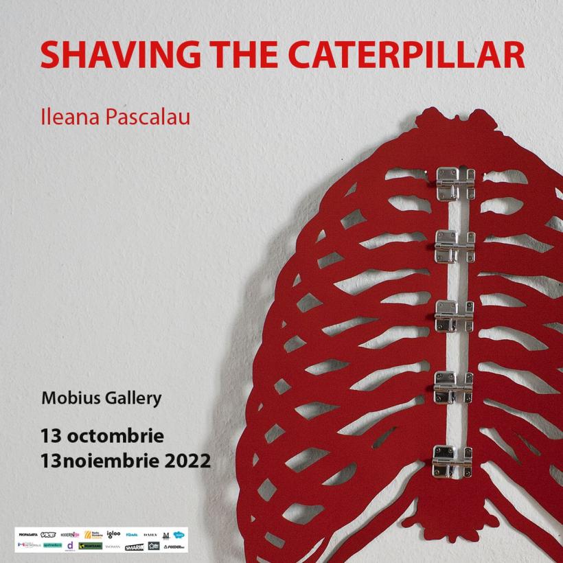 Shaving the Caterpillar. O incursiune senzuală în imaginarul nebuniei 18803525
