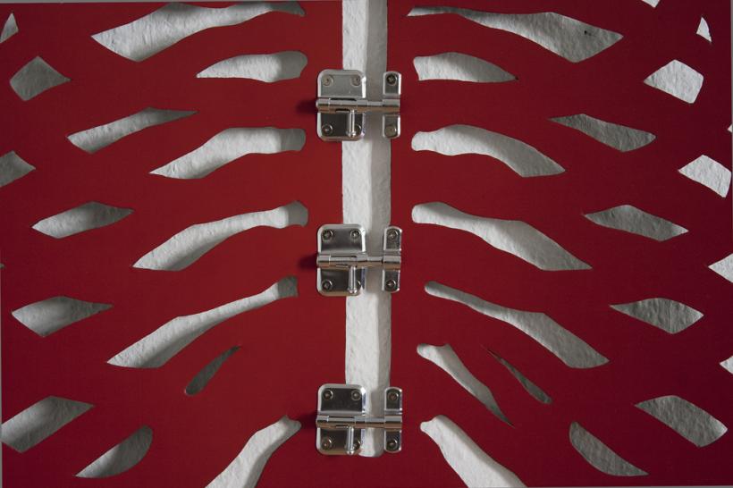 Shaving the Caterpillar. O incursiune senzuală în imaginarul nebuniei 18803529