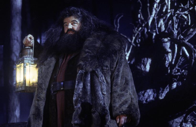 Îndrăgitul Hagrid din Harry Potter, Robbie Coltrane, a murit la 72 de ani