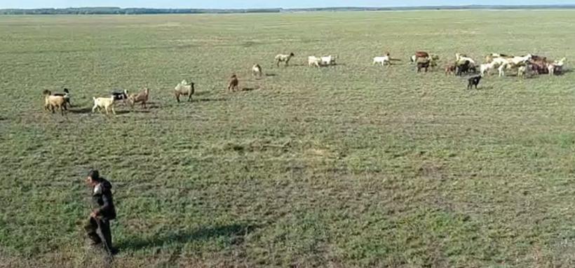 Sudul sălbatic al CFR-ului: până la investițiile promise, România circulă în jeg 18803981