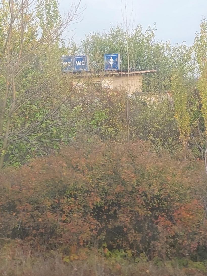 Sudul sălbatic al CFR-ului: până la investițiile promise, România circulă în jeg 18804004