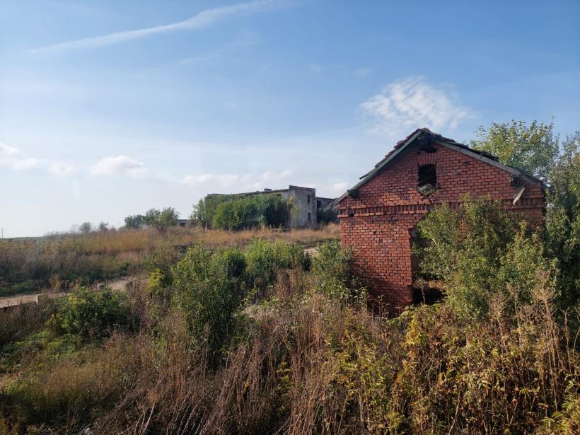 Sudul sălbatic al CFR-ului: până la investițiile promise, România circulă în jeg 18804010