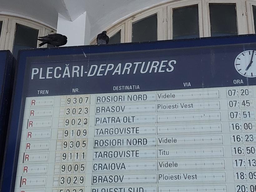 Sudul sălbatic al CFR-ului: până la investițiile promise, România circulă în jeg 18804014