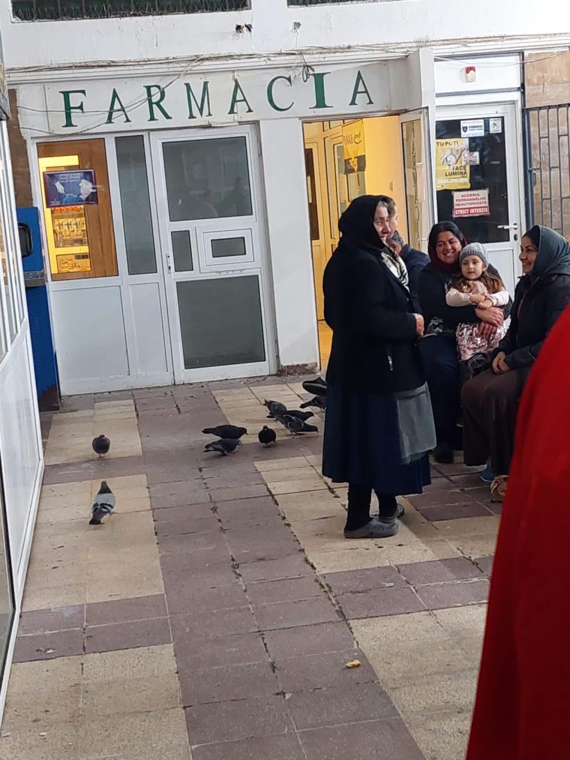 Sudul sălbatic al CFR-ului: până la investițiile promise, România circulă în jeg 18804024