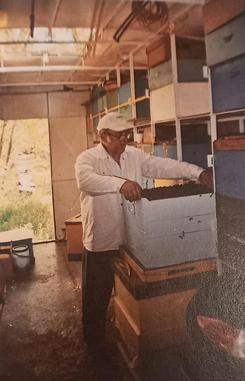 Când justiția face injustiție! Vinovată e albina, bat-o vina: „Nu mor până nu mi se face dreptate” 18804148