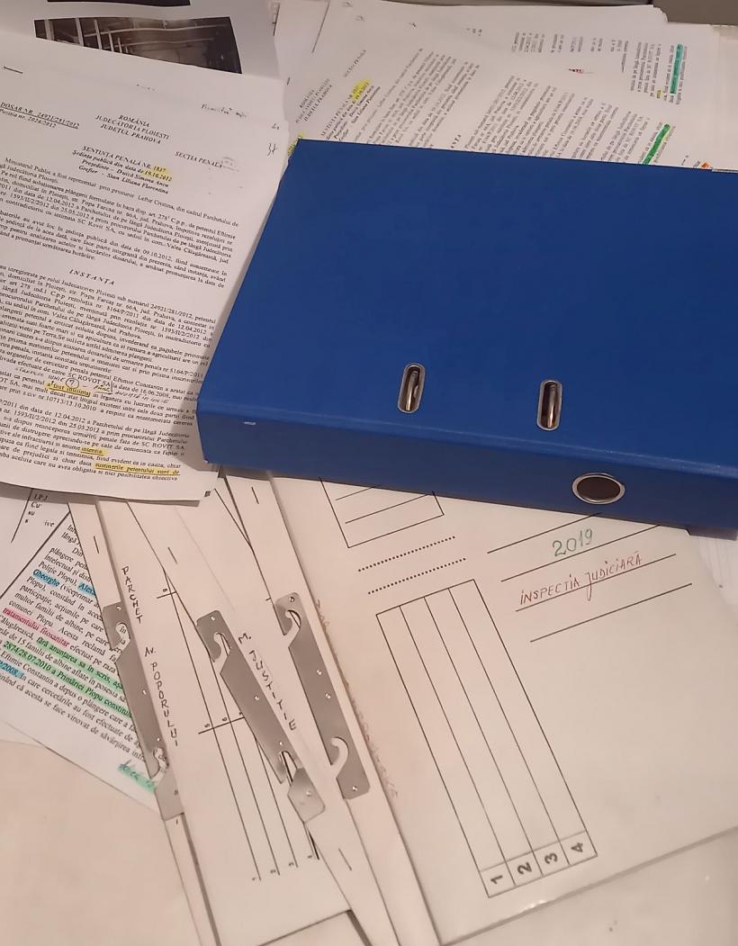 Când justiția face injustiție! Vinovată e albina, bat-o vina: „Nu mor până nu mi se face dreptate” 18804151