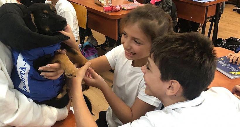Elevii din 80 de școli din Capitală vor învăța cum să interacționeze cu animalele