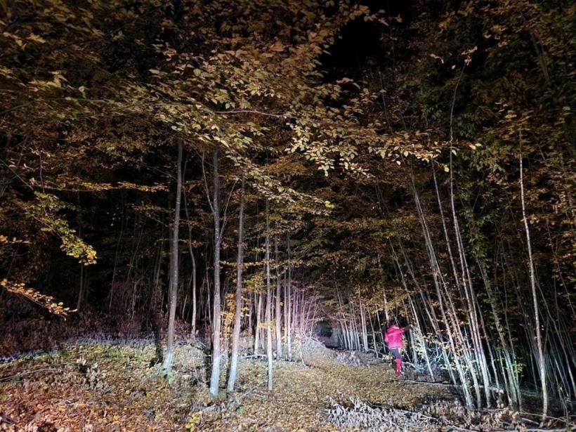 Intervenție dificilă în Maramureș, pentru a salva un bărbat care s-a tăiat cu toporul la un picior 18805047