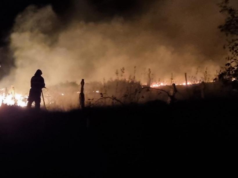 Morminte în flăcări! Incendiu în cimitirul din localitatea Slava Rusă, județul Tulcea 18805631