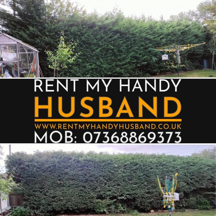 O femeie își închiriază soțul pentru 40 de lire pe oră. „Afacerea” se bucură de un succes uriaș 18806871