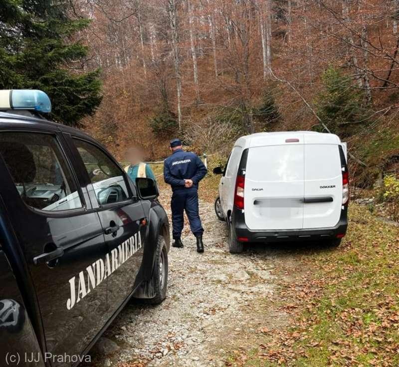 Un italian și un român, prinși cu 1,6 kilograme de trufe negre, culese ilegal cu ajutorul unor câini 18807336