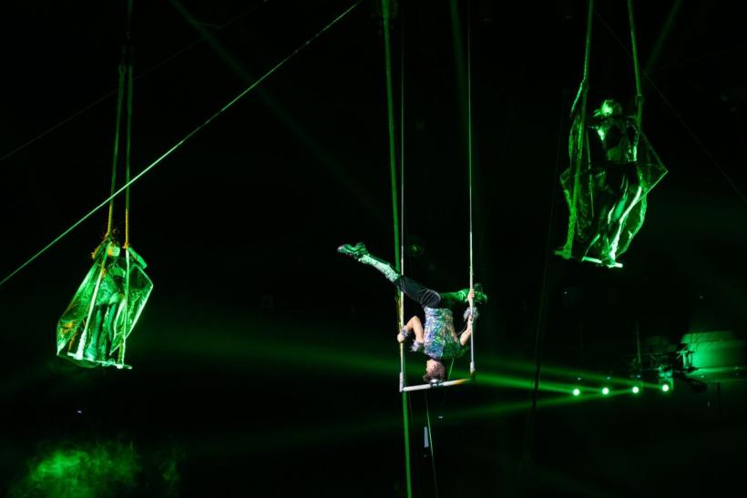 Jocurile de lumini și lasere 3D, dresate în locul animalelor 18807560