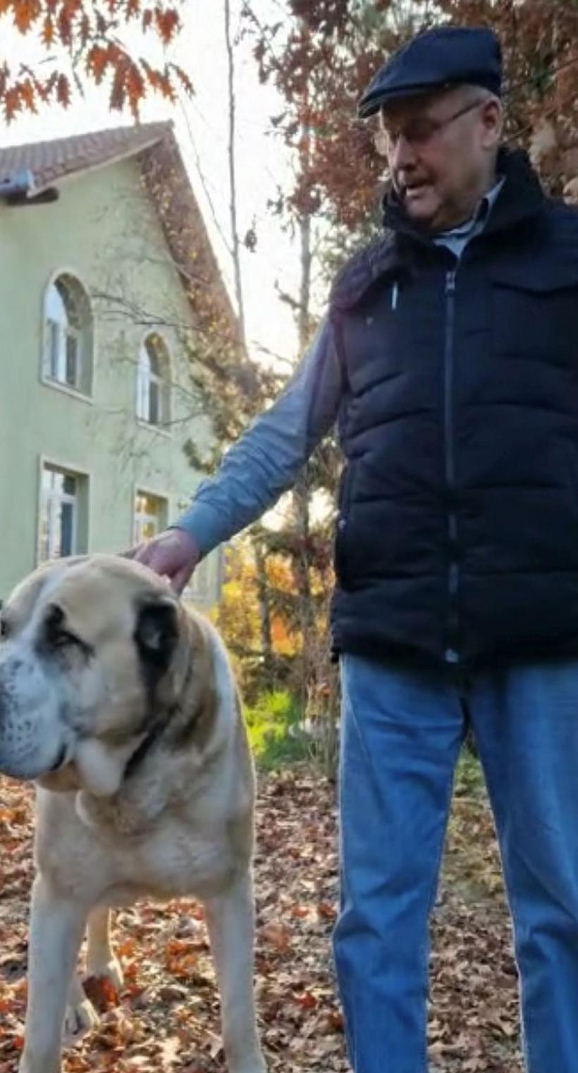 Un bunic acuzat că-şi maltratează câinele, chinuit de cei care îl anchetau 18807740