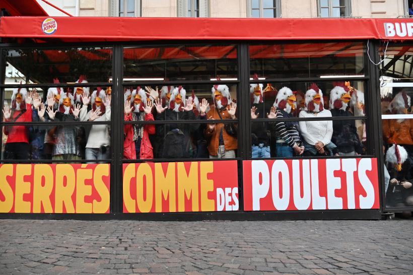 Burger King: activiști deghizați în găini au invadat un restaurant din Paris 18808379