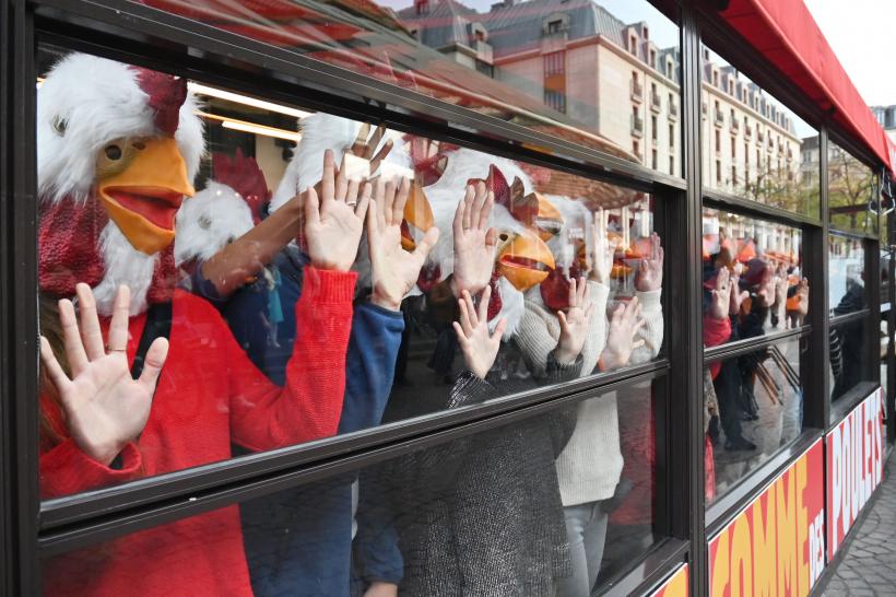 Burger King: activiști deghizați în găini au invadat un restaurant din Paris 18808381