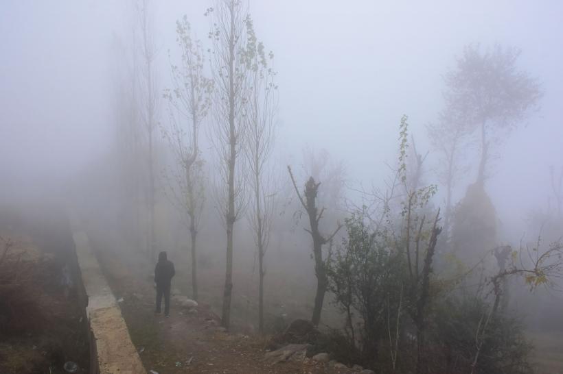 Cod galben de ceață, prelungit în Ardeal, Muntenia și Dobrogea