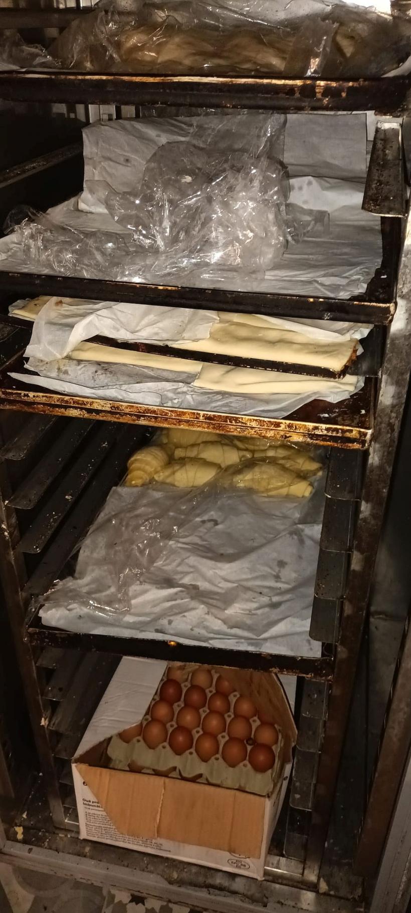 Insecte vii și moarte într-o brutărie din Rahova. ANPC a închis-o temporar 18809335