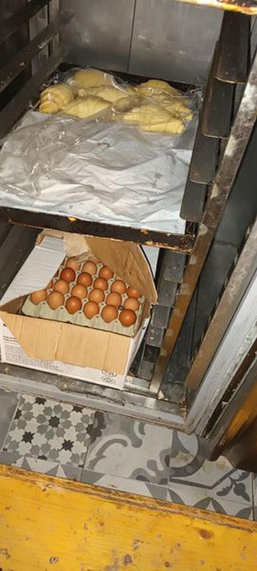 Insecte vii și moarte într-o brutărie din Rahova. ANPC a închis-o temporar 18809340