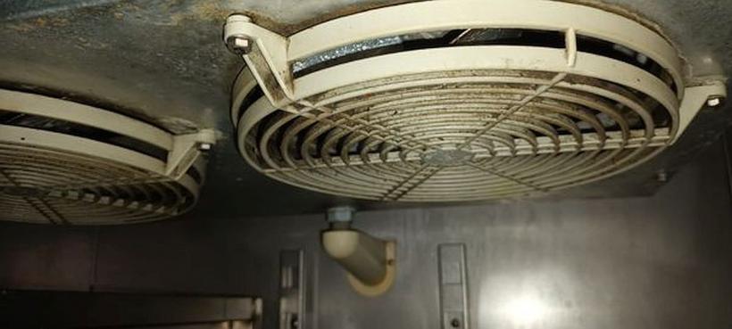 Insecte vii și moarte într-o brutărie din Rahova. ANPC a închis-o temporar 18809341