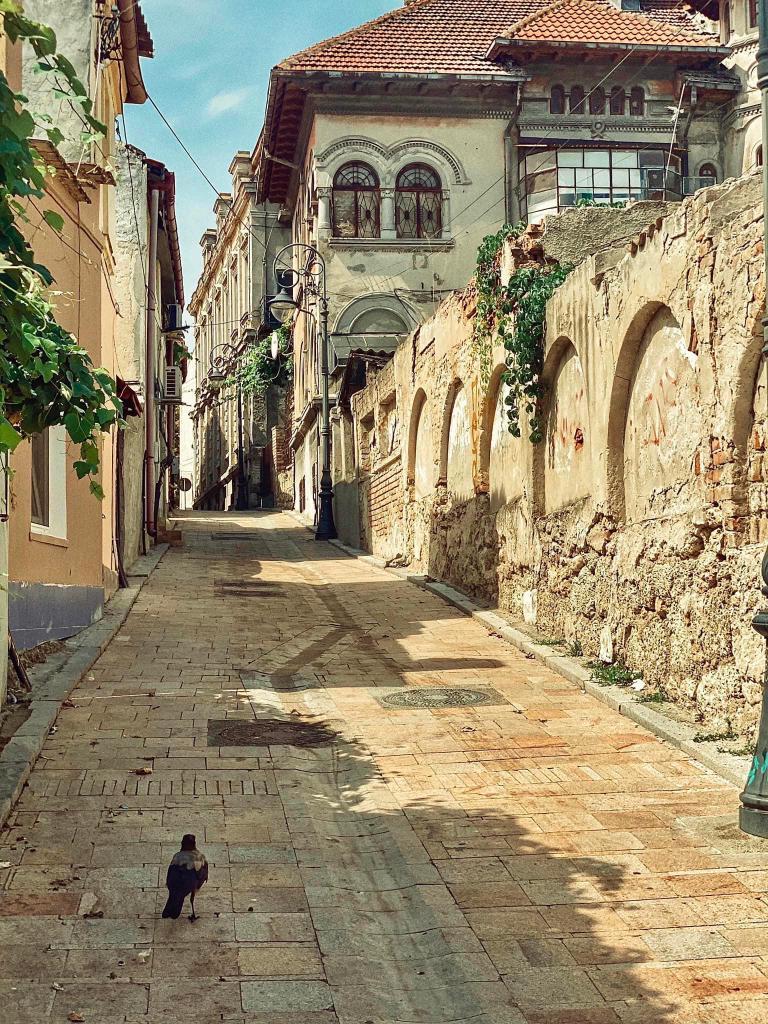 Provincia românească aflată la răscrucea de drumuri între Orient și Occident. 144 de  ani de la Unirea Dobrogei cu România 18809173