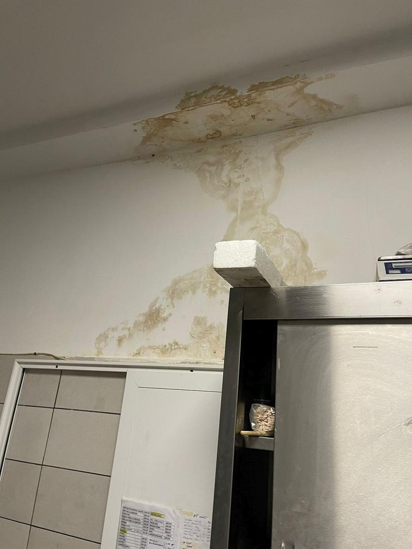 Produse expirate prin care mișunau gândacii, găsite într-un restaurant din Constanța 18810126