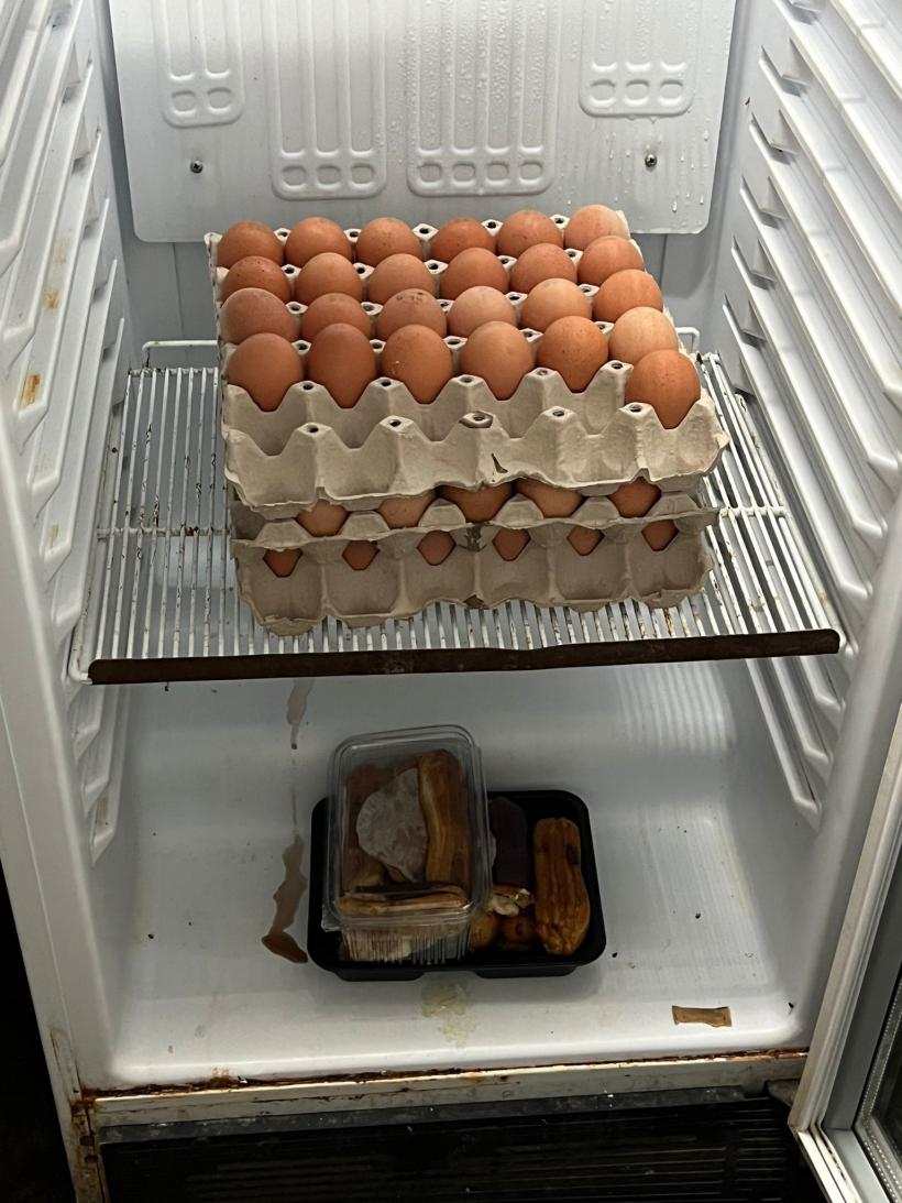 Produse expirate prin care mișunau gândacii, găsite într-un restaurant din Constanța 18810127