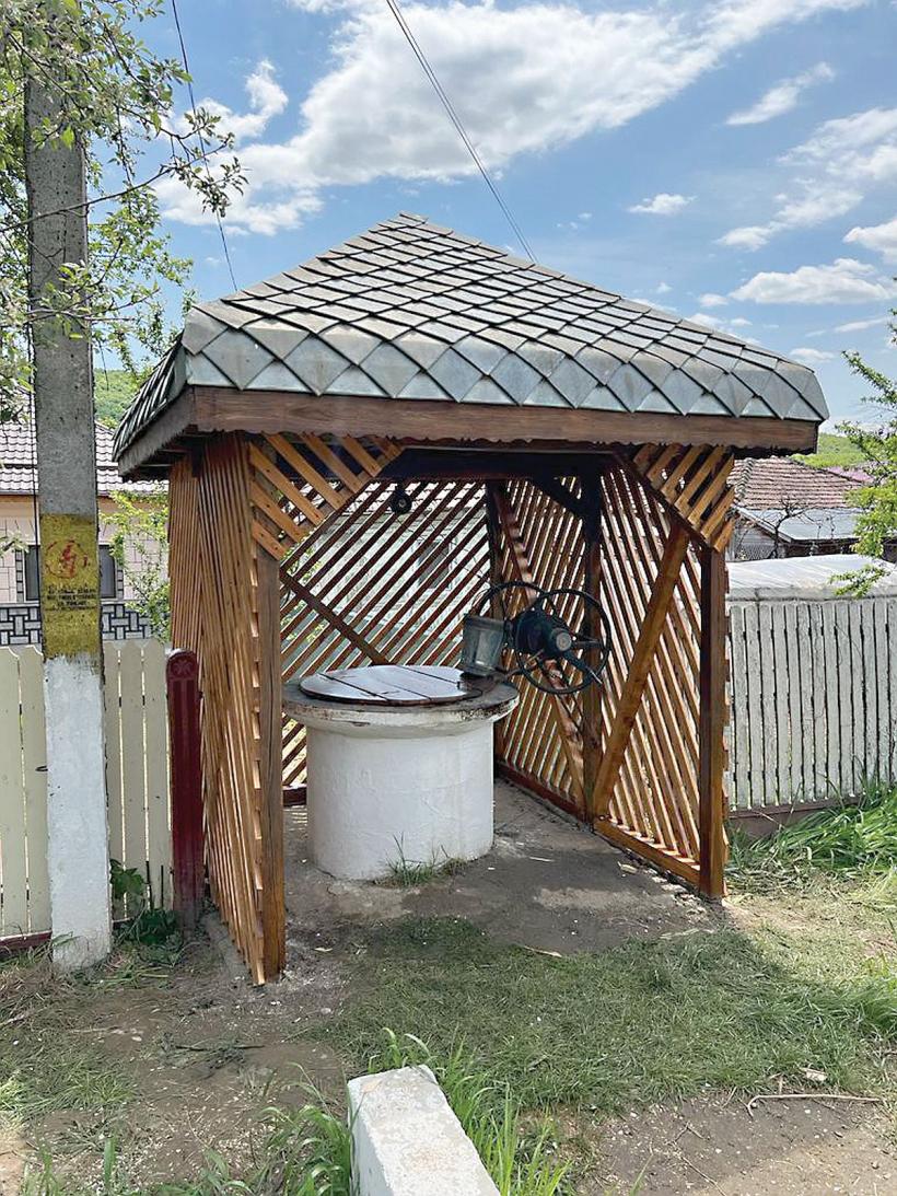 Din satul natal, cu optimism 18810000