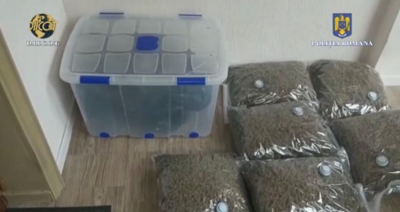 Flagrant cu trafic de cocaină, la Ploiești. O femeie și un bărbat au fost arestați preventiv