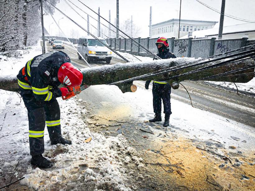 Ghinion! Un copac a căzut peste trei mașini parcate în Suceava