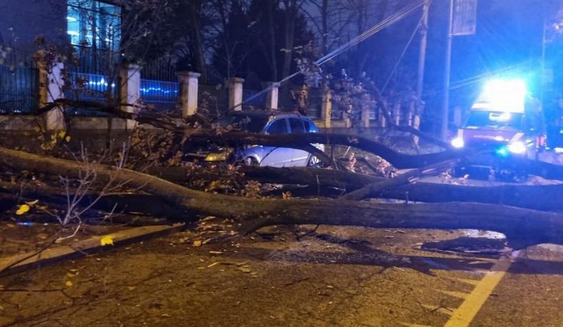 Un bărbat din București a fost rănit grav după ce un copac a căzut peste el 