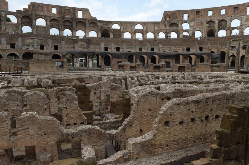 Măsline, fructe și nuci din perioada romană, descoperite de arheologi la Colosseum