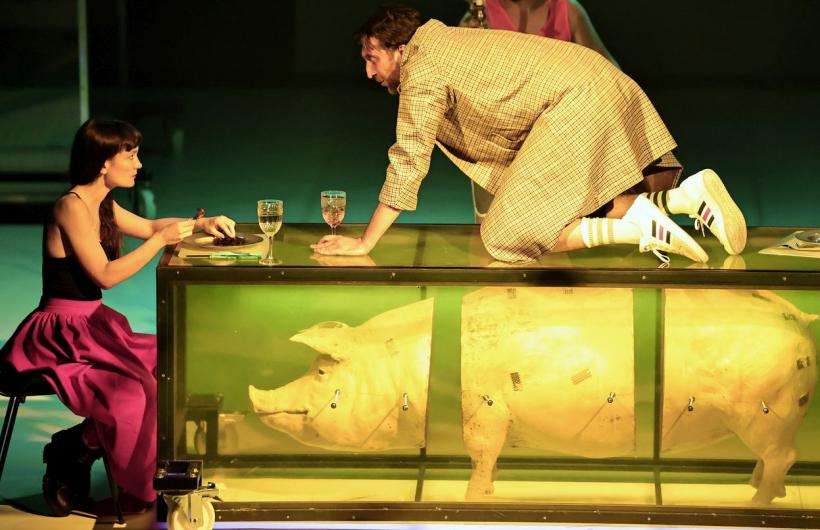 Teatrul Național din Timișoara se regăsește de peste 17 ani în principiile de solidaritate și civism 18811857