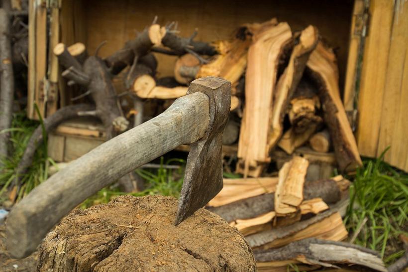 Record al Guvernului: plafonarea prețului pentru lemnele de foc a dublat costurile