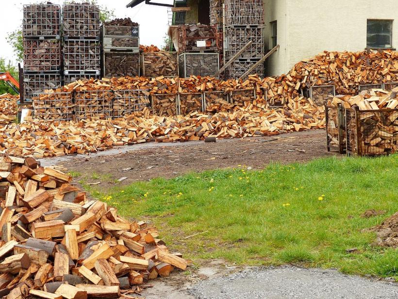 Record al Guvernului: plafonarea prețului pentru lemnele de foc a dublat costurile 18812177