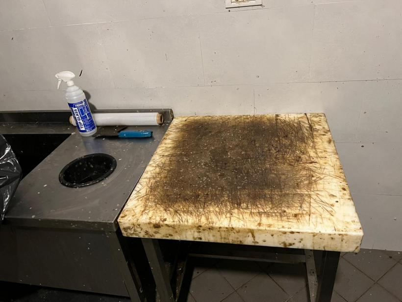 Alimente mucegăite, expirate din 2019, muște, mizerie, miros înțepător și excremente de animale la un restaurant din Vadu 18812895