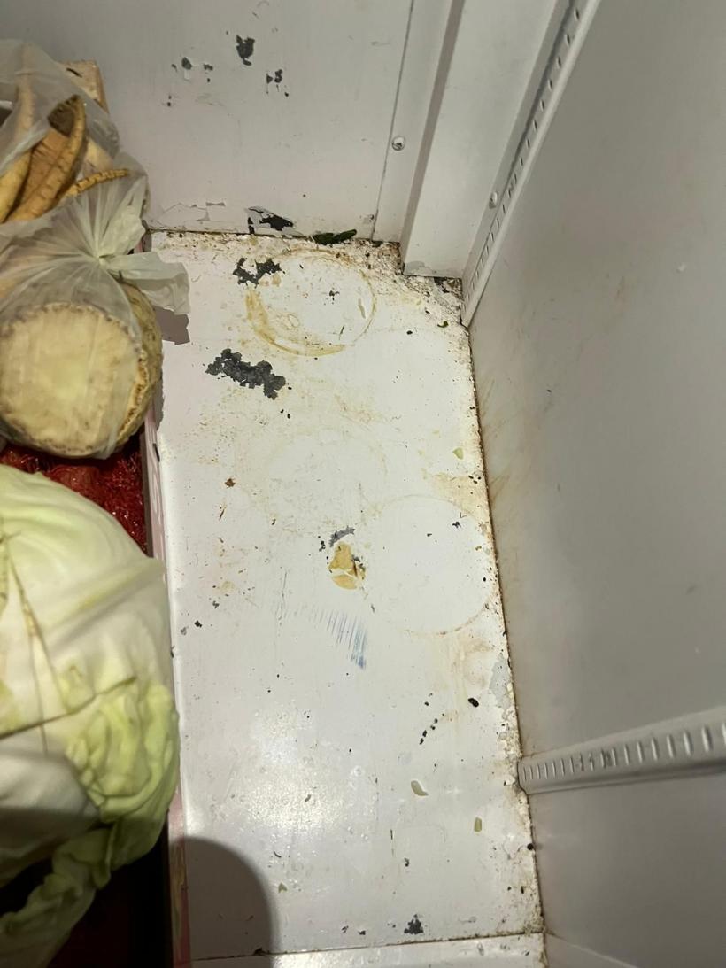 Alimente mucegăite, expirate din 2019, muște, mizerie, miros înțepător și excremente de animale la un restaurant din Vadu 18812896